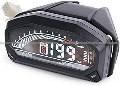 CHINA METER DOLPHIN SMALL - Image 6