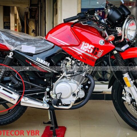 SILENCER PROTECTOR YBR BIG GENUINE